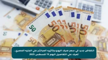 انخفاض جديد في سعر صرف اليورو وتأثيره المباشر على الجنيه المصري.. تعرف على التفاصيل اليوم 15 أغسطس 2025